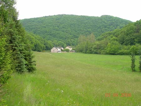 DSCN1567