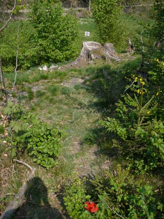 P1030328a
