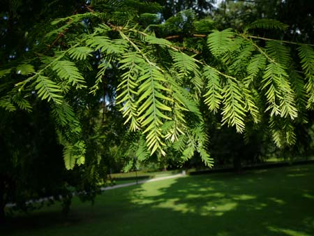 P1090898